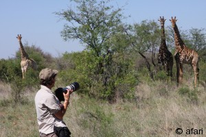 Photographic safari in Tanzania selous photo safari- southern tanzanlas photographers paradies, Africa Photographic safari in Tanzania selous photo safari- southern tanzanlas photographers paradies, Africa